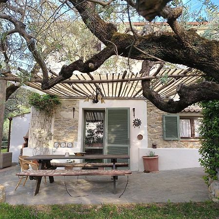 Agriturismo Villa Carducci Castagneto Carducci Exteriör bild